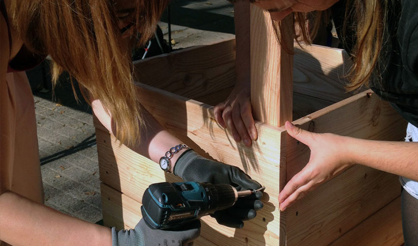 Because I am – Holzbauworkshop