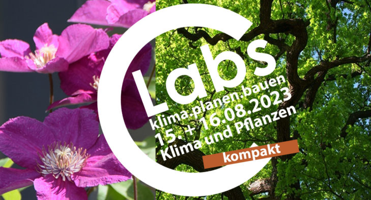 Klima und Pflanzen, Biodiversität, Grüne Stadt