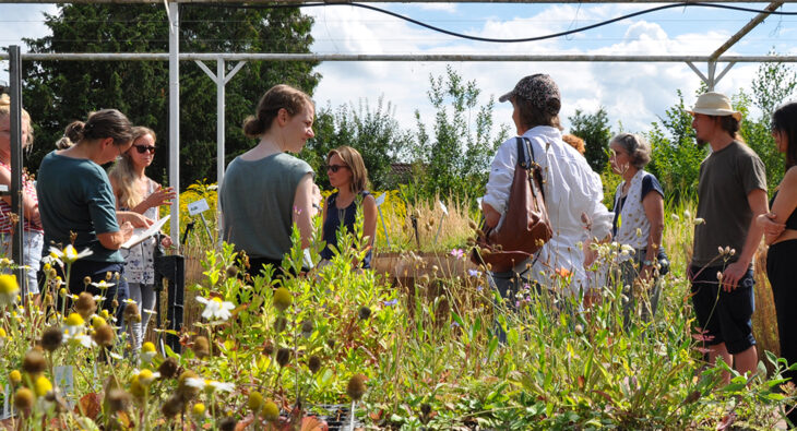 climate Lab, Baufachfrau Berlin, Klima und Pflanzen