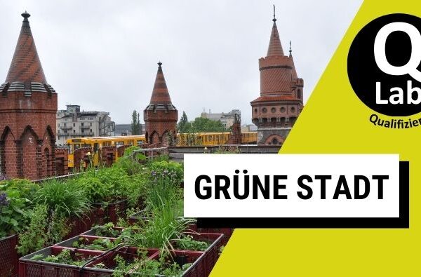 Grüne Stadt, Stadtentwicklung