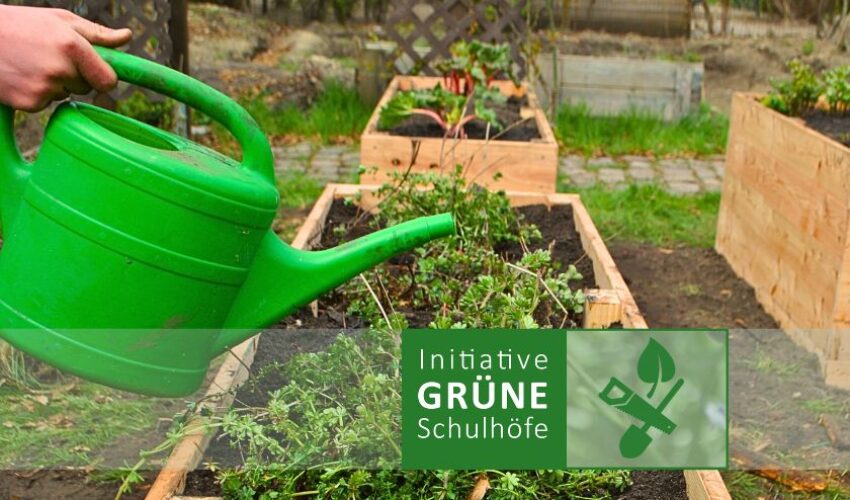 Initiative Grüne Schulhöfe