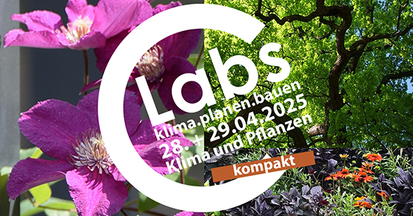 Klima und Pflanzen, Freiflächenplanung, Klimaresilienz, Biodiversität