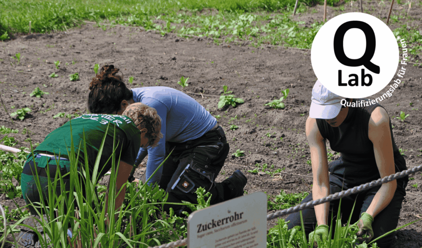 QLab – Praxis.Vielfalt.Perspektiven.